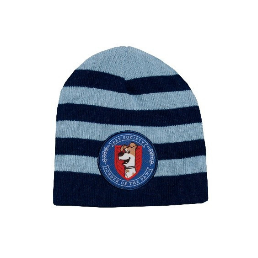 X - Kæledyrenes hemmelige liv vinterhue - Strikhue til børn - Onesize - Blåstribet
